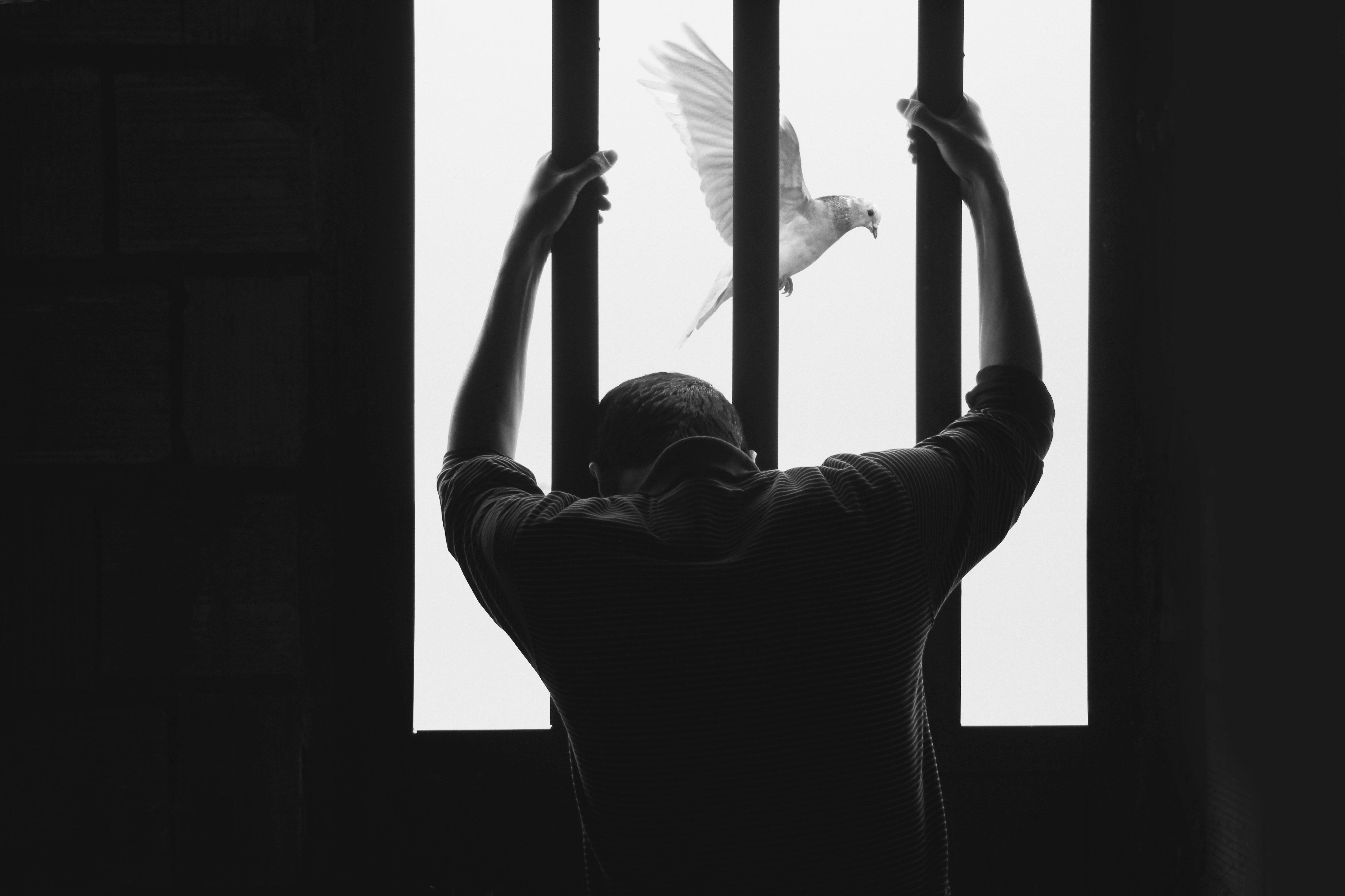 A man incarcerated in prison by Hasan Almasi.