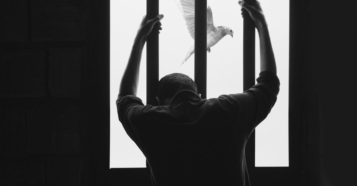 A man incarcerated in prison by Hasan Almasi.
