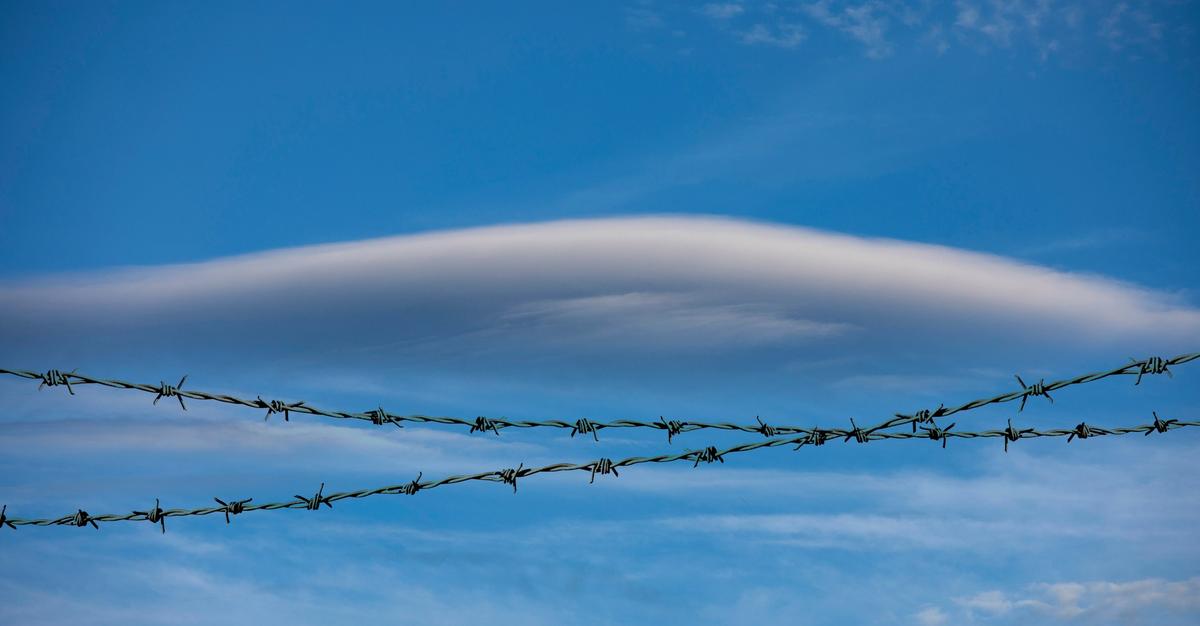 Wired fence with a backdrop of the sky by louise whelan.