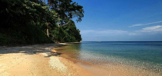 Gombe Forest Lodge Gombe Forest Lodge