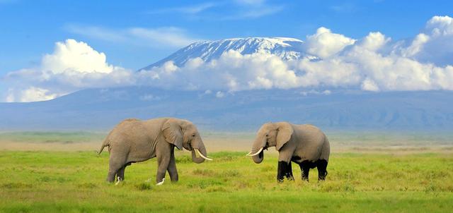 Amboseli National Park Amboseli National Park