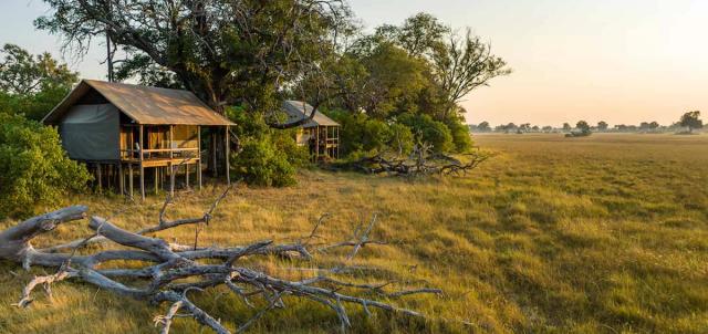 Mokolwane Camp Mokolwane Camp