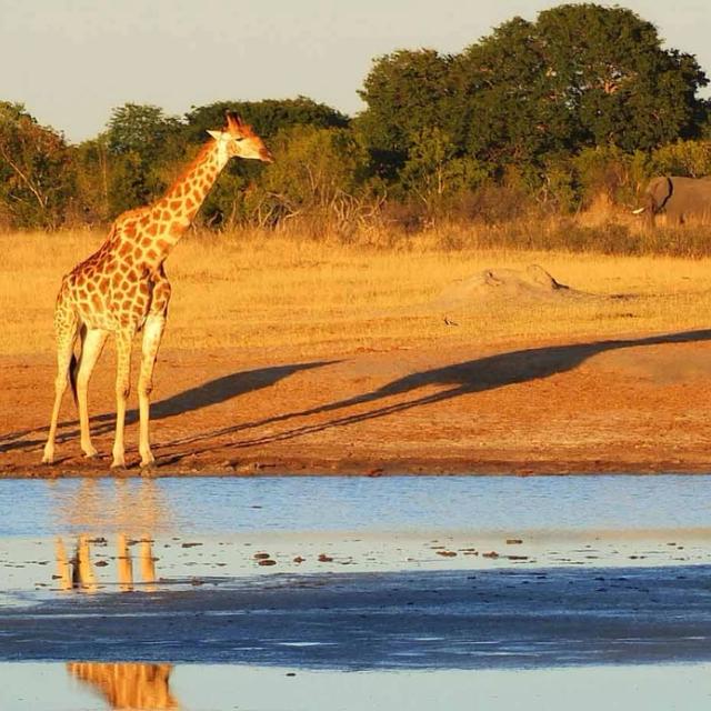 Mana Pools Tented Camp Mana Pools Tented Camp