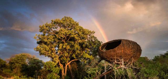 Chisa Busanga Camp Chisa Busanga Camp