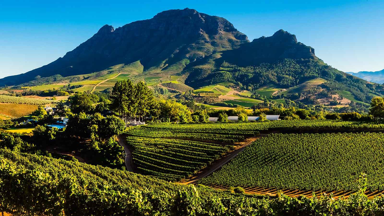 Wine Route Wine Route