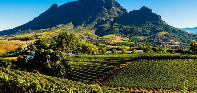 Wine Route Wine Route