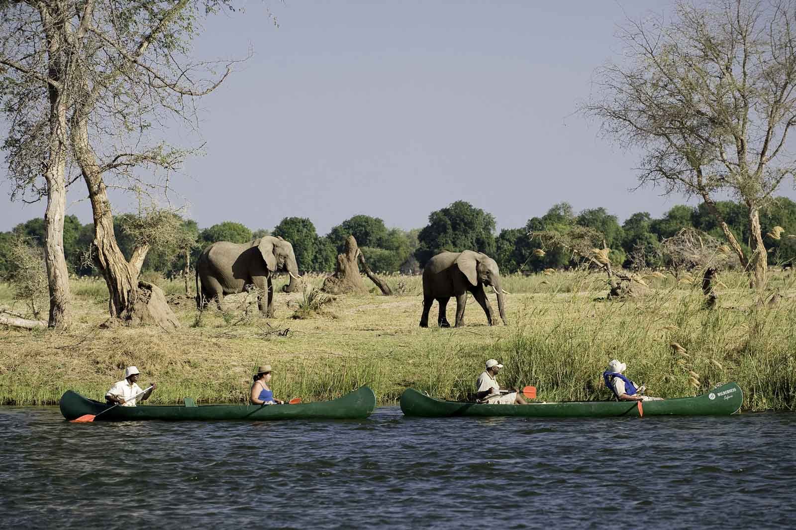 Mana Pools National Park Mana Pools National Park
