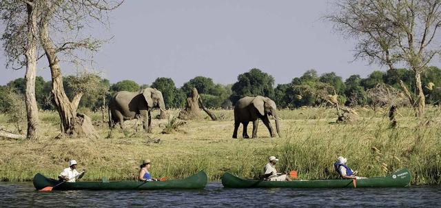Mana Pools National Park Mana Pools National Park