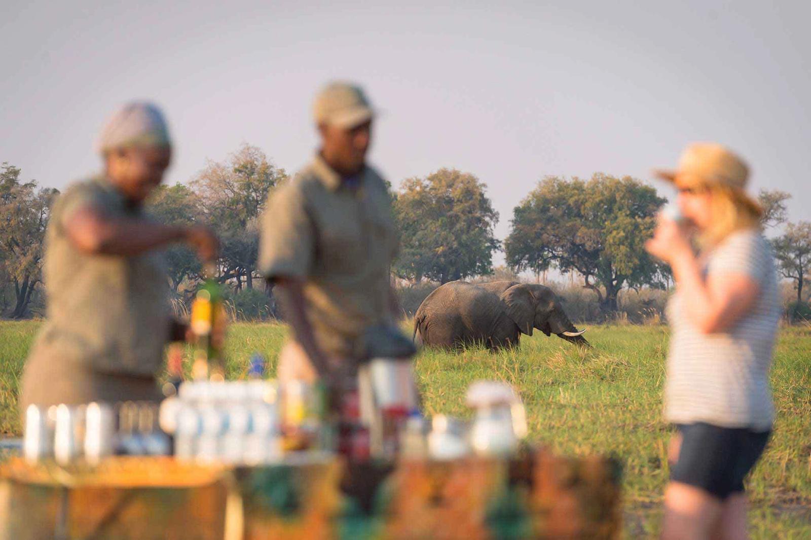 Botswana Safaris Botswana Safaris