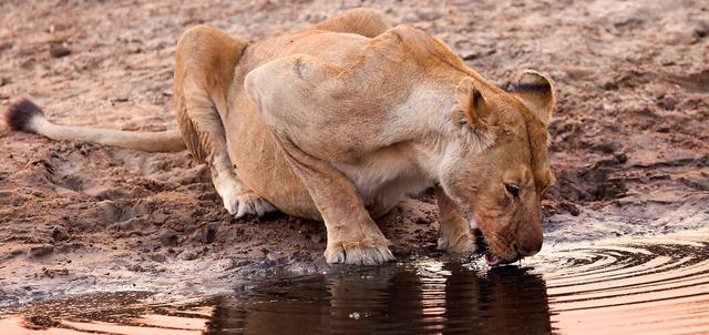 McBrides Camp McBrides Camp