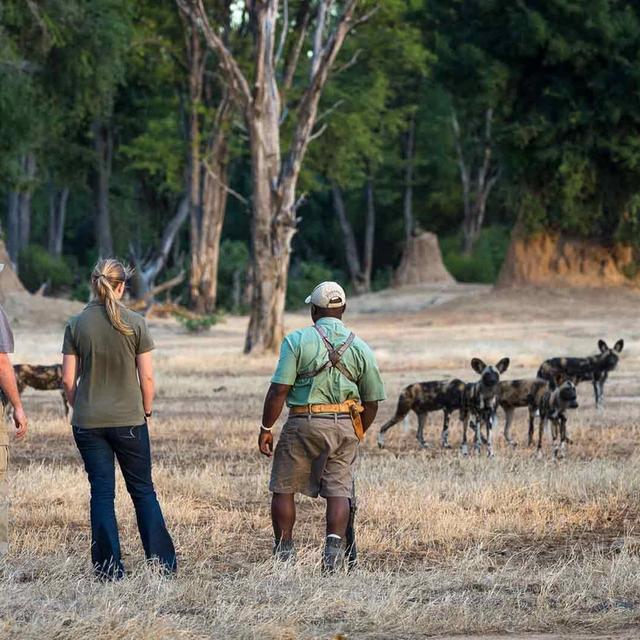 Unique Zimbabwe Unique Zimbabwe