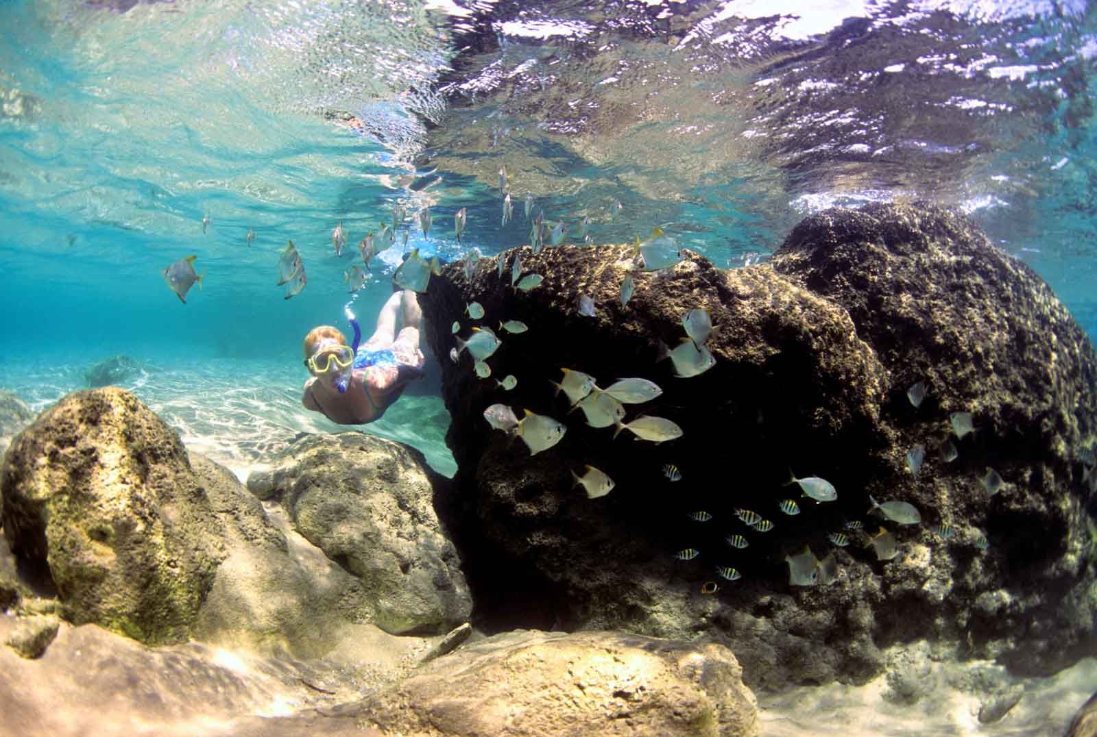 Sun Safaris-Bush and Beach Safari KwaZulu Natal snorkling 