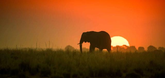 Chobe National Park Chobe National Park