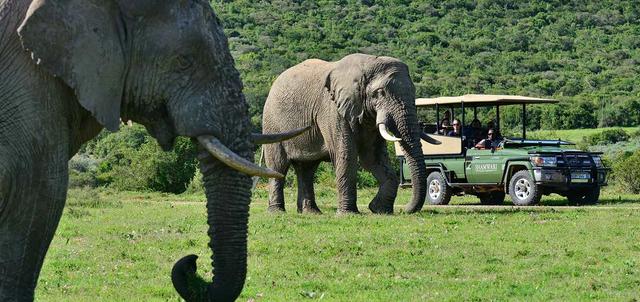 Shamwari Game Reserve Shamwari Game Reserve