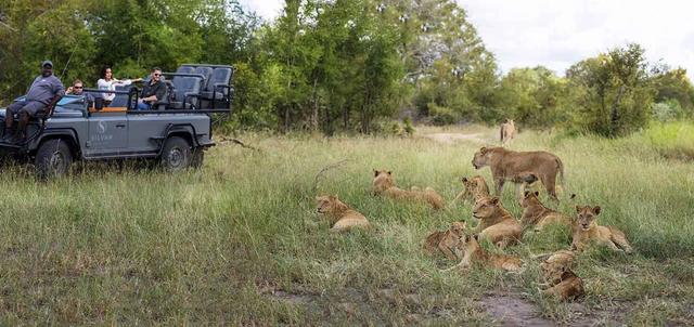 Cape Town, Winelands and Kruger Park Safari Cape Town, Winelands and Kruger Park Safari