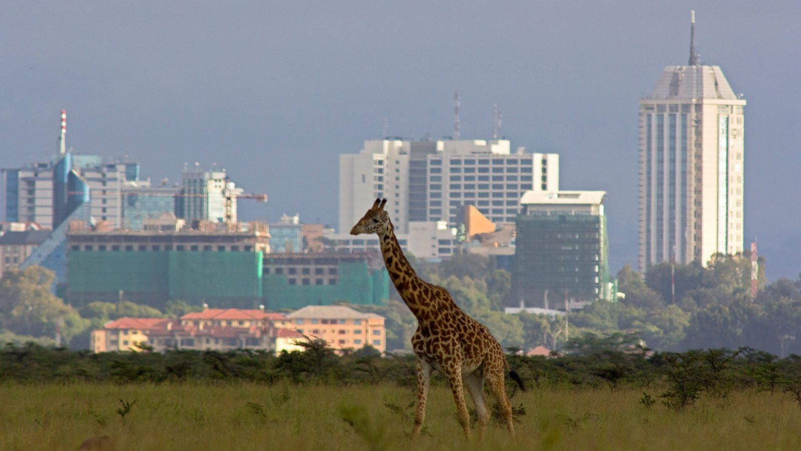 Nairobi Nairobi