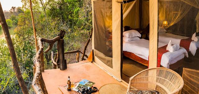 Fig Tree Bush Camp Fig Tree Bush Camp