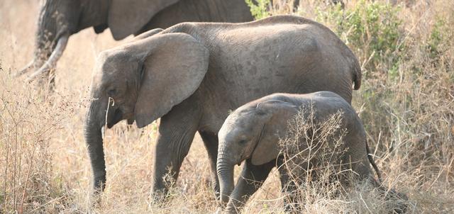 Oremiti Tented Lodge Oremiti Tented Lodge