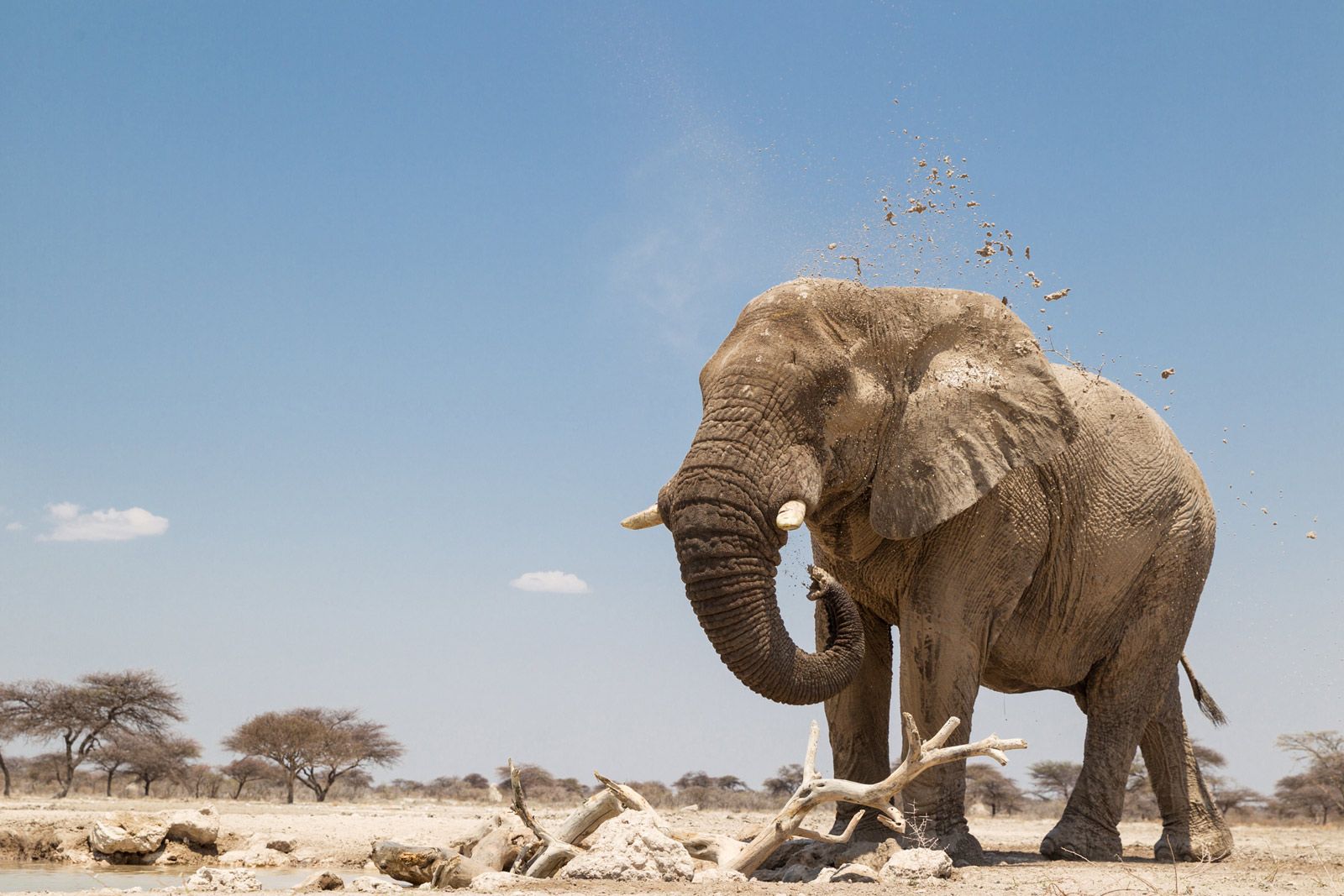Etosha National Park Etosha National Park