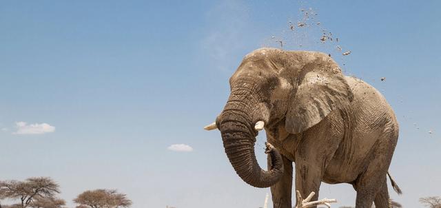 Etosha National Park Etosha National Park