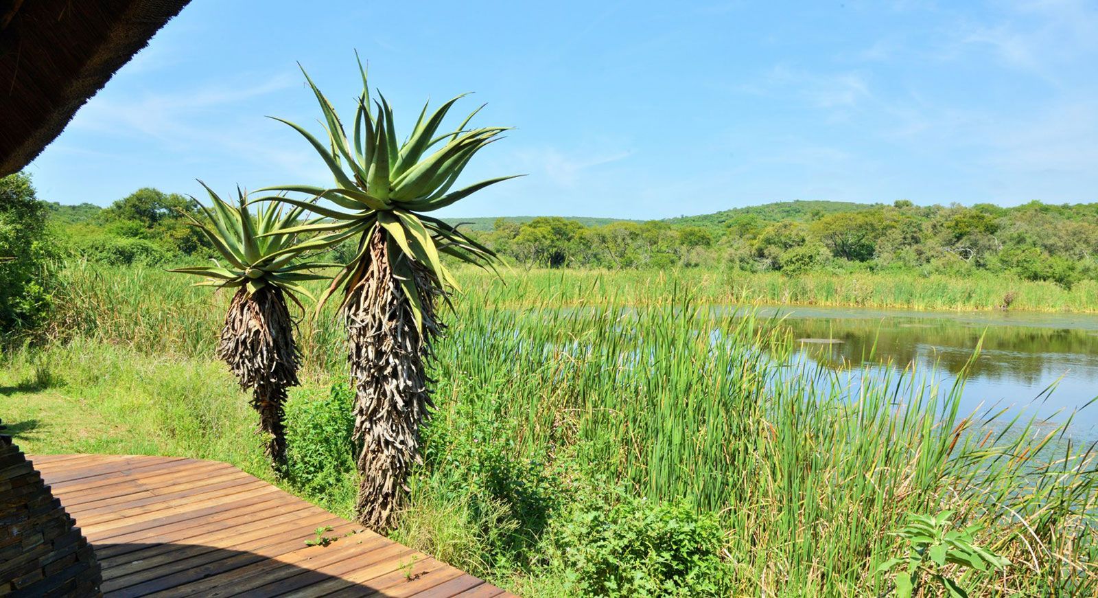 Tala Private Game Reserve