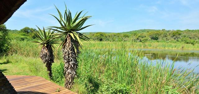 Tala Private Game Reserve Tala Private Game Reserve