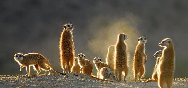 Tswalu Private Game Reserve Tswalu Private Game Reserve