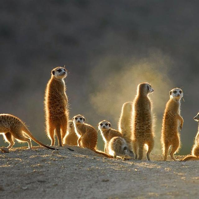 Tswalu Private Game Reserve Tswalu Private Game Reserve