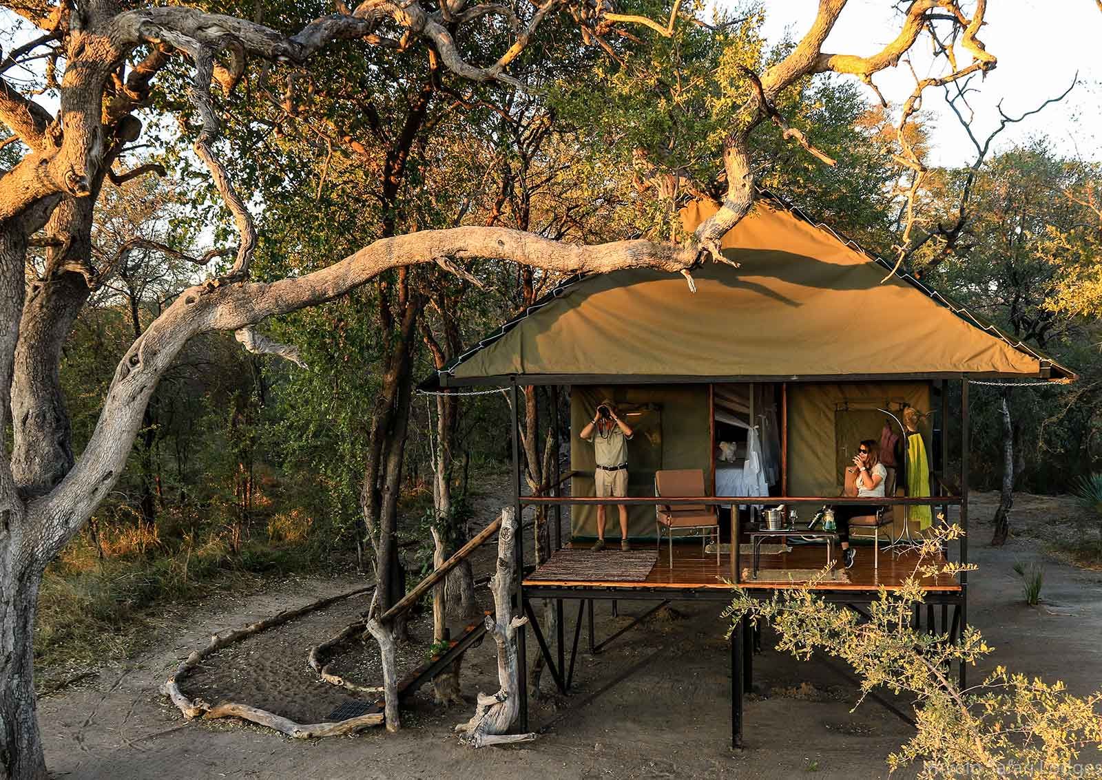Bomani Tented Camp - 0 - 1