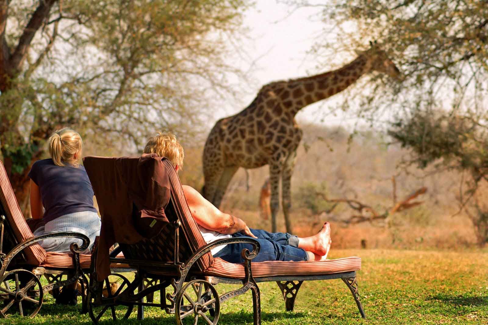 Mohlabetsi Safari Lodge Mohlabetsi Safari Lodge