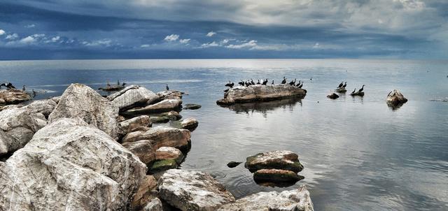 Rubondo Island National Park Rubondo Island National Park