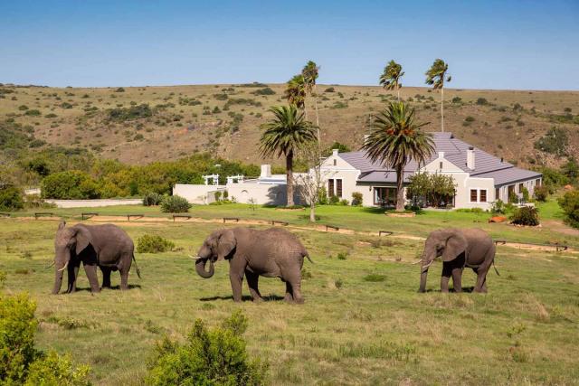 Lalibela Mills Manor