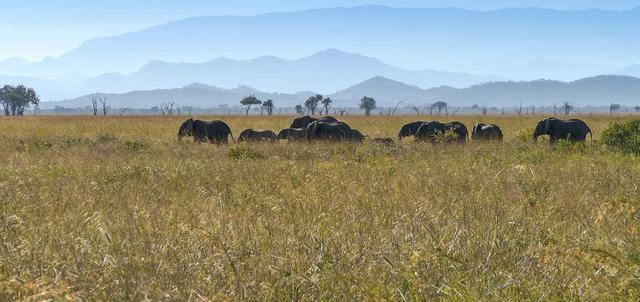 Best of Southern Tanzania Best of Southern Tanzania