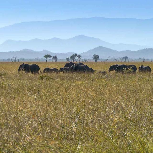 Best of Southern Tanzania Best of Southern Tanzania