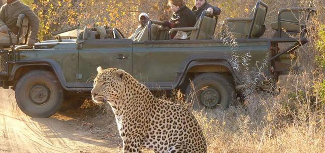 Thornybush Reserve Thornybush Reserve