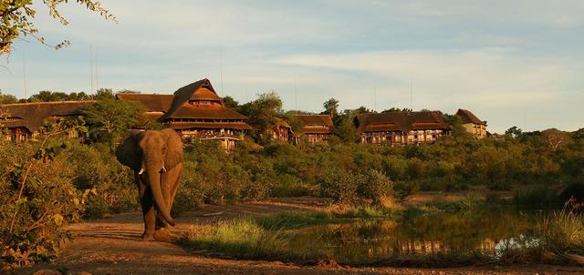 Victoria Falls Safari Lodge Victoria Falls Safari Lodge