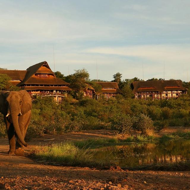 Victoria Falls Safari Lodge Victoria Falls Safari Lodge