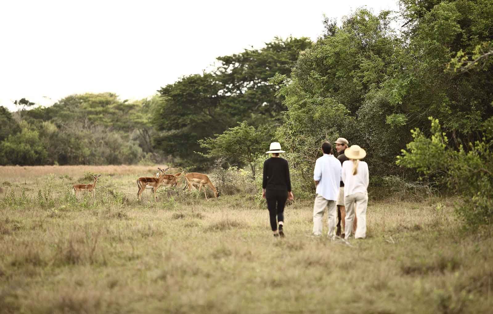 Sun Safaris-Bush and Beach Safari KwaZulu Natal Walking Safari
