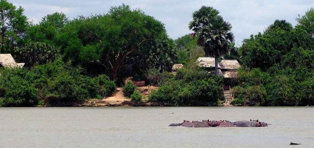 Selous Wilderness Camp Selous Wilderness Camp
