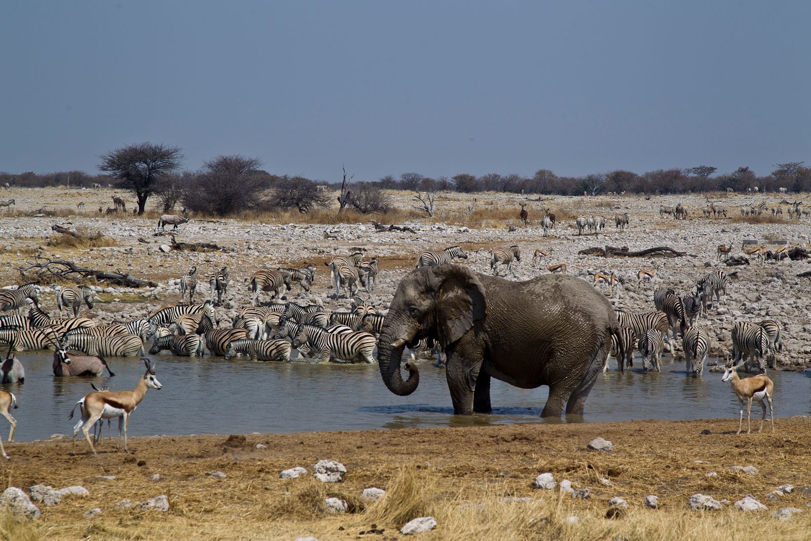 Namibia Tours Namibia Tours