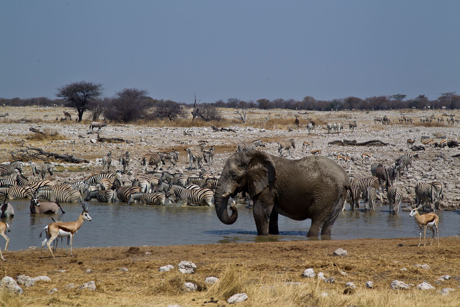 Namibia Tours