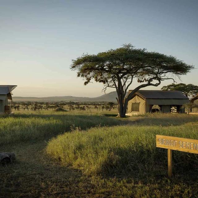 Siringit Serengeti Camp