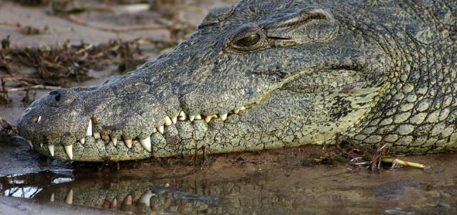 Riley's Hotel Riley's Hotel