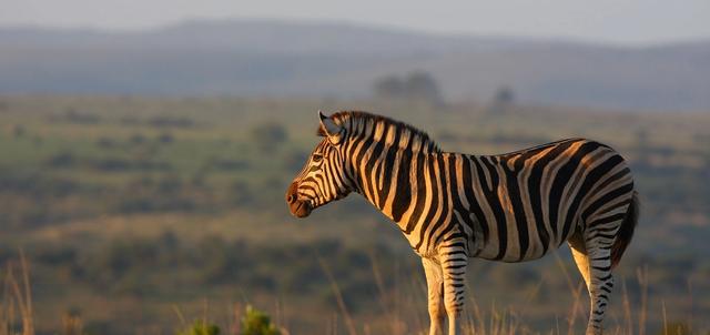 Eastern Cape Eastern Cape