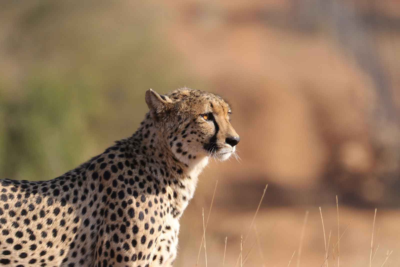Mapungubwe National Park Mapungubwe National Park
