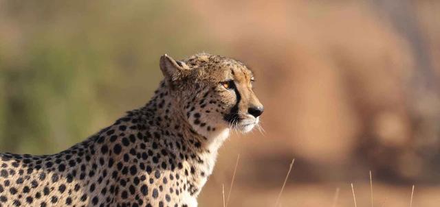 Mapungubwe National Park Mapungubwe National Park