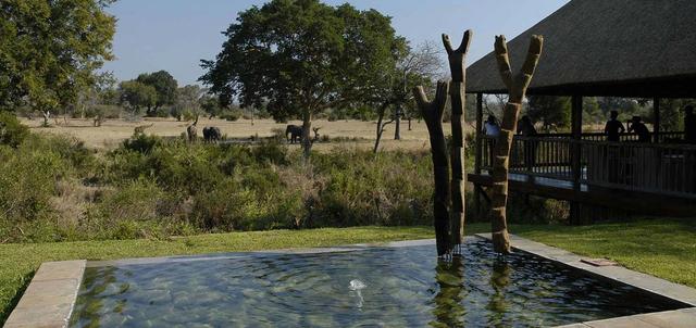 Sabi Sabi Bush Lodge Sabi Sabi Bush Lodge