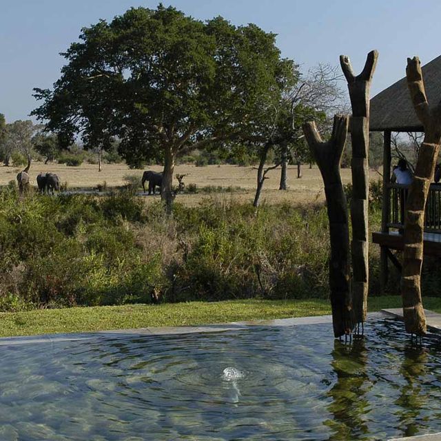 Sabi Sabi Bush Lodge Sabi Sabi Bush Lodge