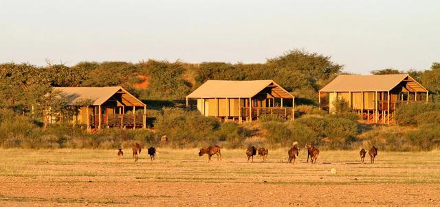 Suricate Kalahari Lodge