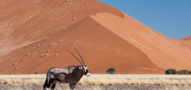 Sossusvlei Sossusvlei